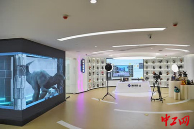 重慶南岸區(qū)實(shí)現(xiàn)5G全覆蓋，網(wǎng)絡(luò)技術(shù)服務(wù)強(qiáng)力驅(qū)動(dòng)智能制造新飛躍