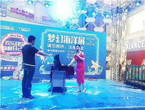 口碑好的海獅租賃公司推薦,海獅表演渠道