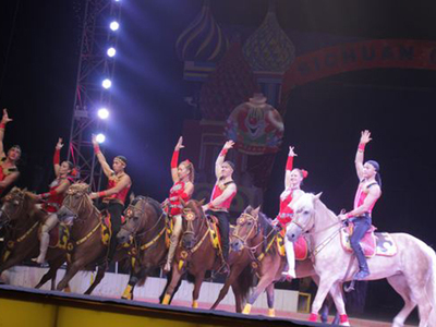 本地大型雜技表演,小丑表演,馬戲團(tuán)商演聯(lián)系電話