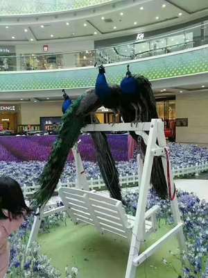 重慶馬戲團(tuán)表演出租演出/租賃2022已更新(今日/動(dòng)態(tài))