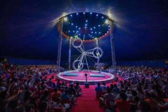 春節(jié)出租馬戲團(tuán)表演檔期充足