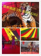 【(1圖)北海哪里有馬戲團(tuán)表演出租】- 北海其他生活服務(wù) - 北海列舉網(wǎng)