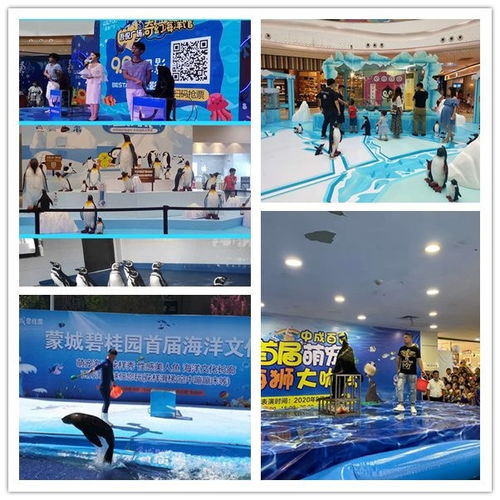 平?jīng)鍪旭R戲團(tuán)表演動物租賃形式豐富