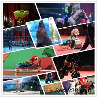 馬戲團(tuán)表演出租天津_志趣網(wǎng)