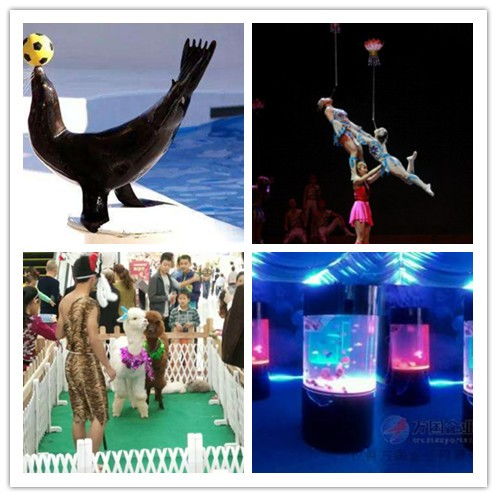 海門馬戲團(tuán)百鳥園展覽出租價(jià)格明細(xì)