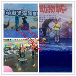 【孔雀展出租】-