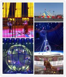 十堰萌寵動物羊駝展覽租賃海獅馬戲團表演出租百鳥展鸚鵡表演