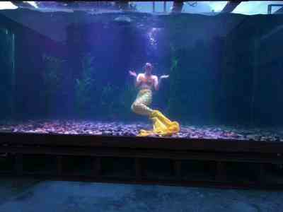 新聞河南郟縣 一手資源