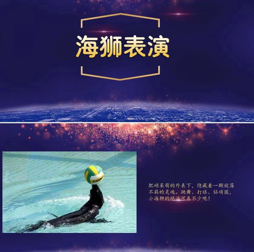 大飛輪表演租賃 #馬戲團高空雜技表演出 - 抖音