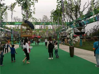 遼寧省本溪出租各類萌寵動物展