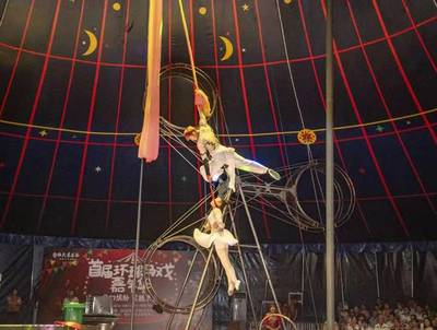 小型馬戲團出租 合作馬術馬戲團表演