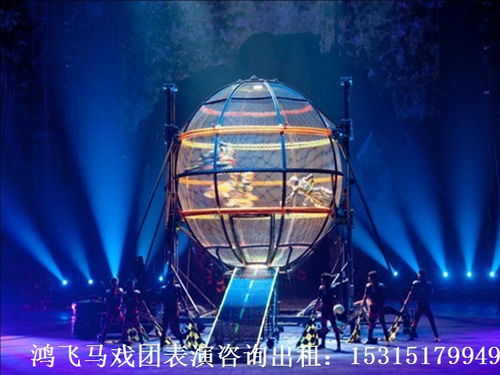 肥城市什么地方有出租馬戲團(tuán)表演價格