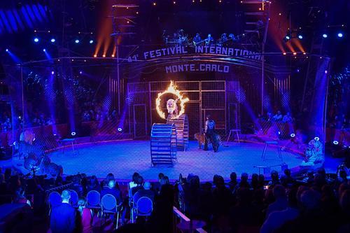 福州專業(yè)馬戲團(tuán)租賃服務(wù)與大型展覽演出公司