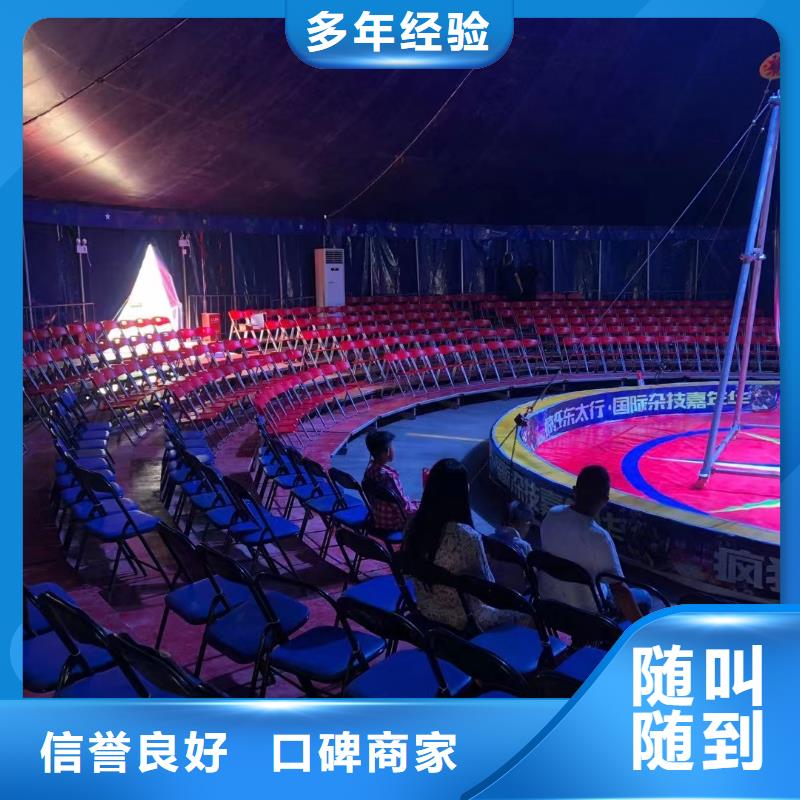 馬戲團羊駝動物表演出租解決方案 創(chuàng)新合作模式助力商業(yè)活動