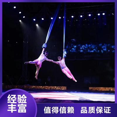 馬戲團羊駝海獅表演與冰雕展出租賃 高性價比的優(yōu)質(zhì)選擇